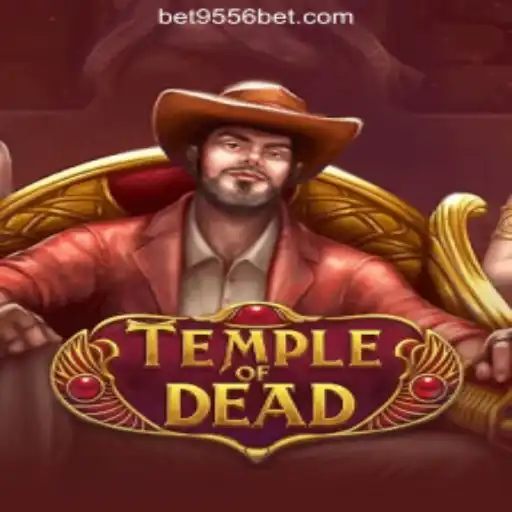 9556BET.COM Oficial Slots Brasil #1 Live Casino